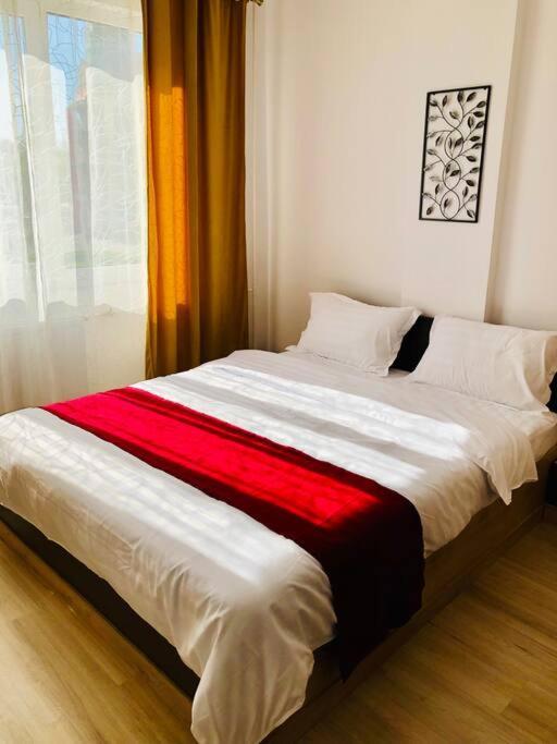 Joy City Stay Victoriei 7G-9 Тимишоара Экстерьер фото