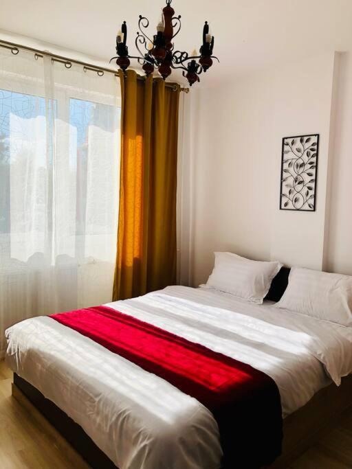 Joy City Stay Victoriei 7G-9 Тимишоара Экстерьер фото