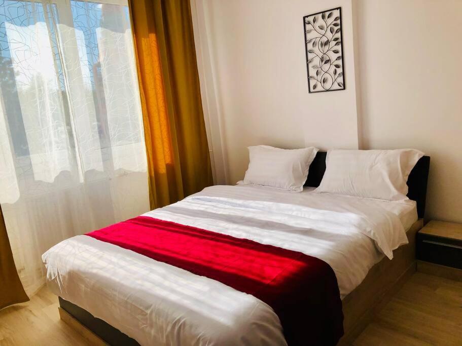 Joy City Stay Victoriei 7G-9 Тимишоара Экстерьер фото