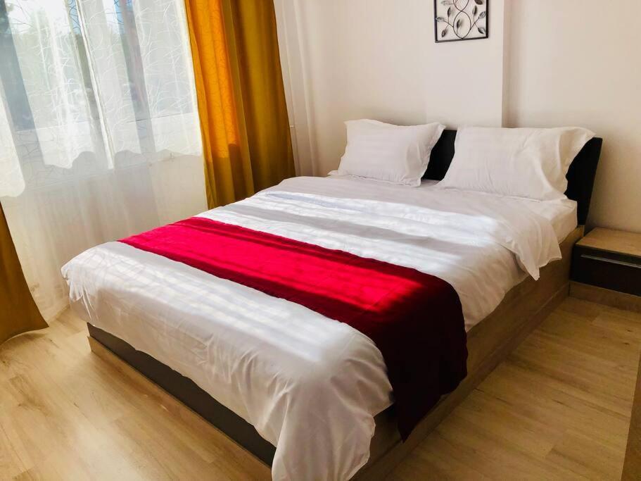 Joy City Stay Victoriei 7G-9 Тимишоара Экстерьер фото