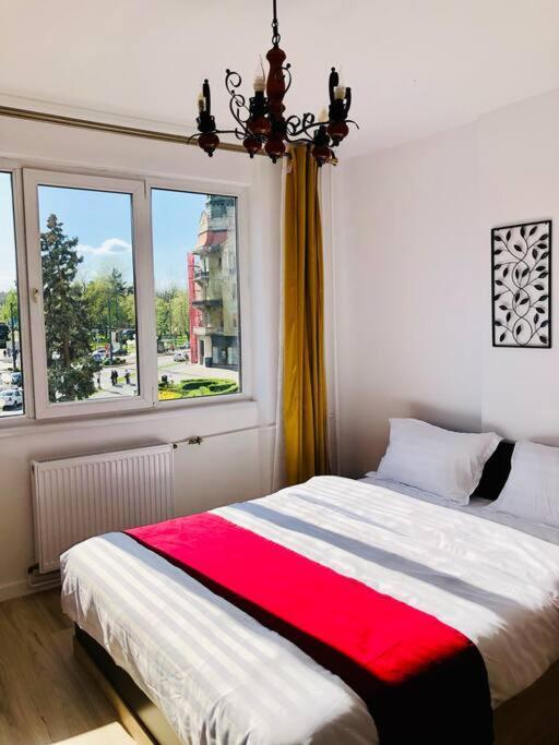 Joy City Stay Victoriei 7G-9 Тимишоара Экстерьер фото
